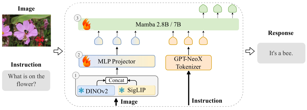 Cobra overview