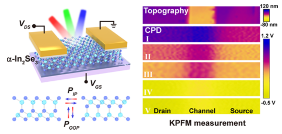 Synaptic phototransistor overview