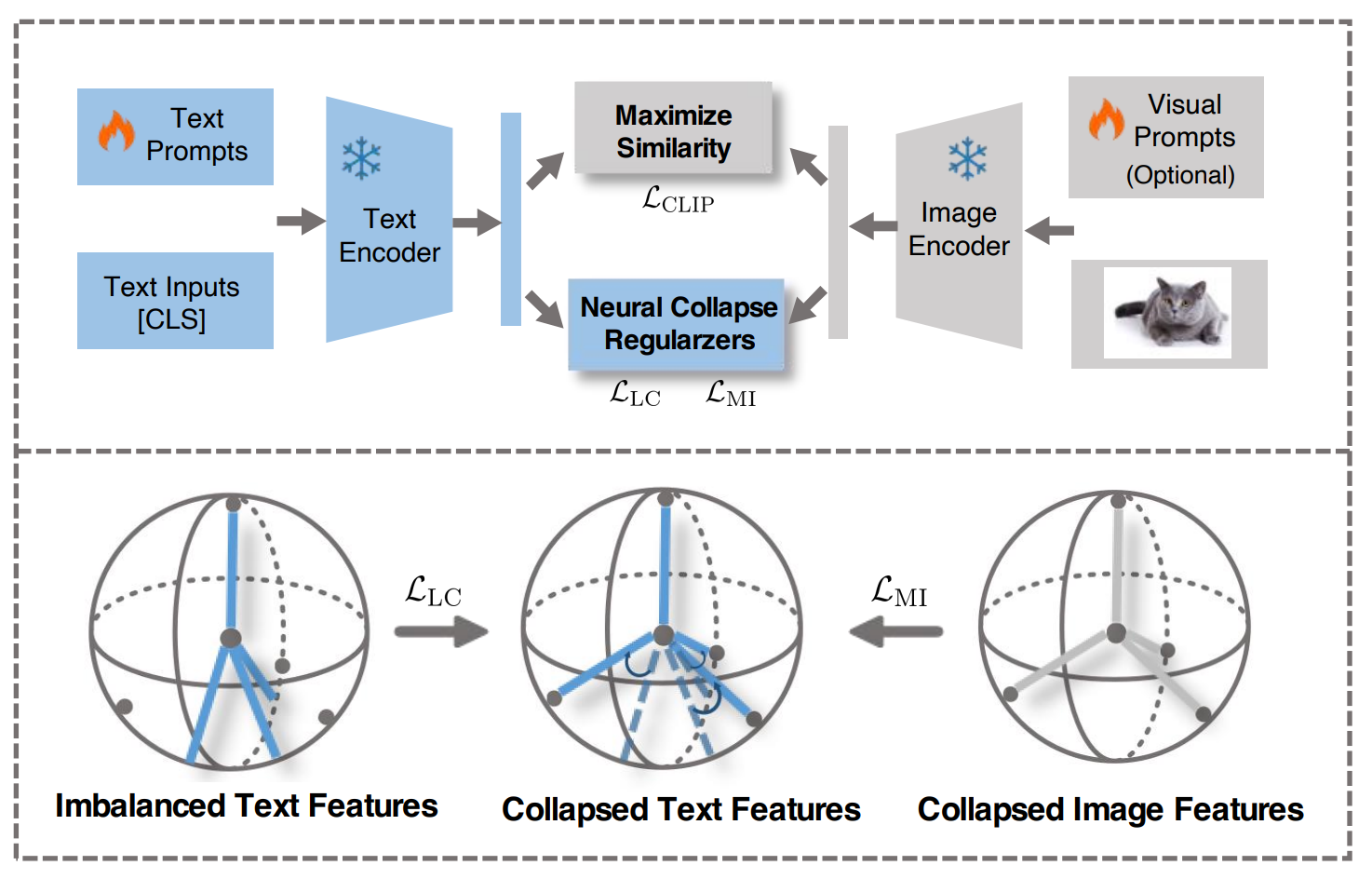 Neural-collapse-anchored Prompt Tuning overview